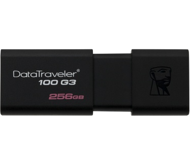 Kingston 100 G3 256GB