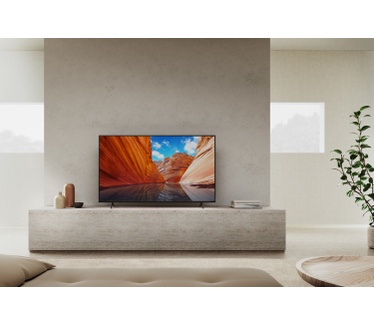 Sony KD-55X81J