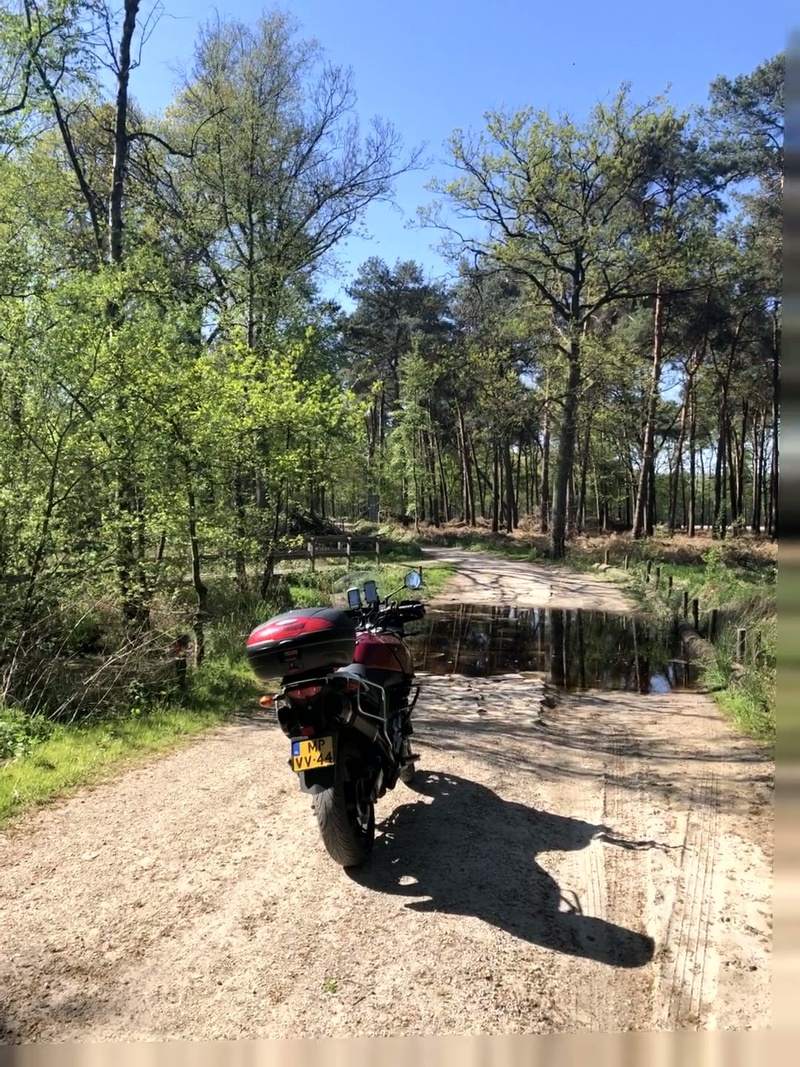 Afbeeldingslocatie: https://tweakers.net/i/0BMTX1EXhgnRt4Ma1q3OyYD7anA=/800x/filters:strip_icc():strip_exif()/f/image/KWYzCsiqCqehOcBCyZuoGzk9.jpg?f=fotoalbum_large