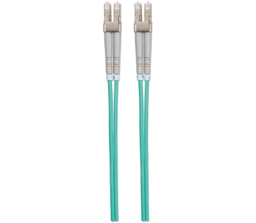 Intellinet 750134 Blauw