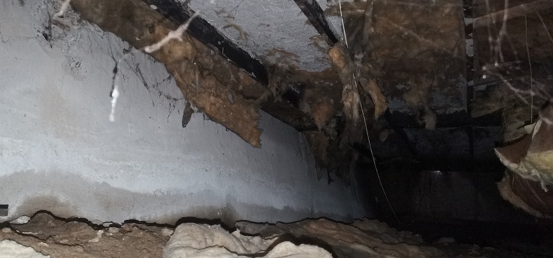 Afbeeldingslocatie: https://tweakers.net/i/0L8lbeihx5K3jS3mjlvMVs4dg0c=/800x/filters:strip_icc():strip_exif()/f/image/uJfyzRTxfVg9pCRolNLbOtrv.jpg?f=fotoalbum_large