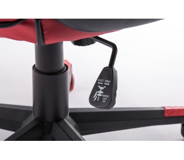 Banzaai Banzaai limited edition