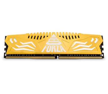 Neo Forza NMUD480E82-3200DC10