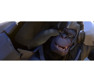 Overwatch Collector's Edition, Windows