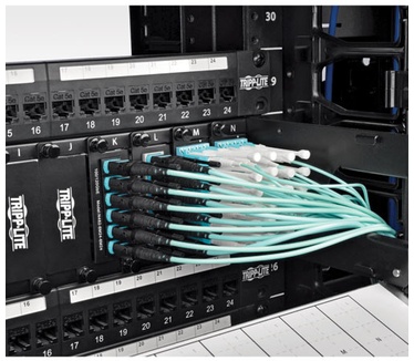 Tripp-Lite N844-03M-12-P