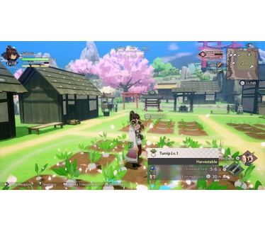 Rune Factory: Guardians of Azuma