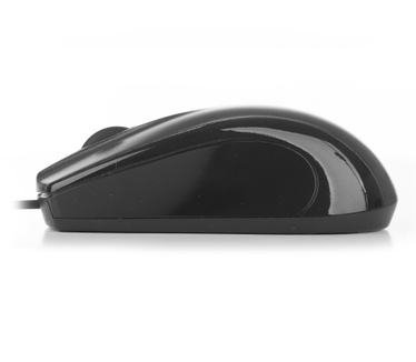 NGS Black Mist