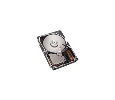 IBM 73.4GB 10Krpm Ultra320 SCSI Hot-Swap HDD
