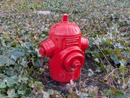 Cameratest - 2x zoom