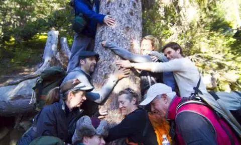 Afbeeldingslocatie: https://tweakers.net/i/0byj3IKM8aYpPVjlWdMOTSINqRE=/full-fit-in/4920x3264/filters:max_bytes(3145728):no_upscale():fill(white):strip_exif()/f/image/lLelKx8kEv6MlPloJnkpN73a.webp?f=user_large