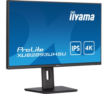Iiyama ProLite ProLite Zwart
