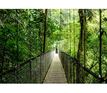 HP EliteBook 6 G1i AI