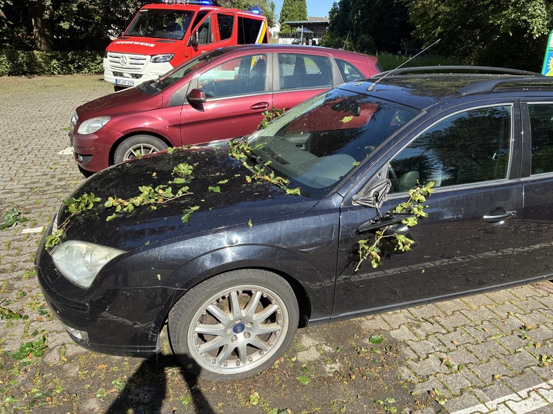 Afbeeldingslocatie: https://tweakers.net/i/0fTlccvzLcfS-N3n_wsA-8D8c0Y=/800x/filters:strip_icc():strip_exif()/f/image/7zuvQ7TMzk844ygu3SUm3iiw.jpg?f=fotoalbum_large