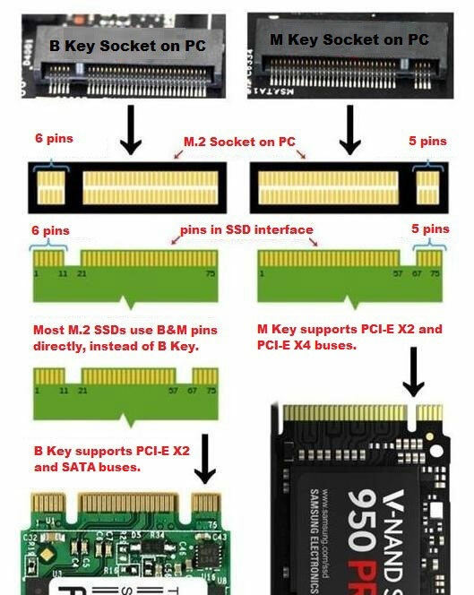 Afbeeldingslocatie: https://tweakers.net/i/0gG-MC_chJA2SlVM6XVHmX9X_V0=/full-fit-in/4920x3264/filters:max_bytes(3145728):no_upscale():strip_icc():fill(white):strip_exif()/f/image/AUU43PZ8fmFk9LZFJpzCeY5i.jpg?f=user_large