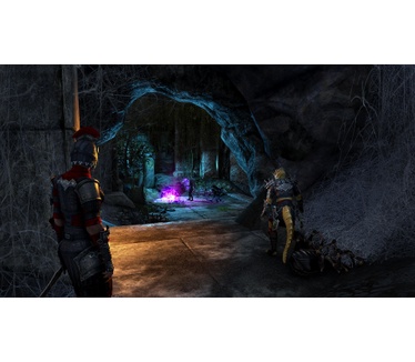 The Elder Scrolls Online Blackwood Collection, PS4