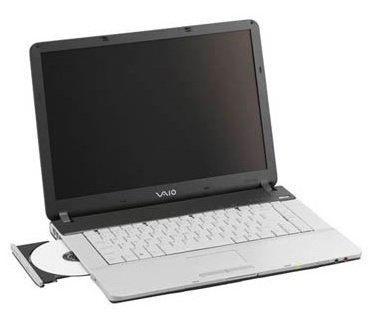 Sony Vaio FS315S (P-M 750; 1GB; 100GB; DVD+/-RW; 15.4"TFT; WXP Home)