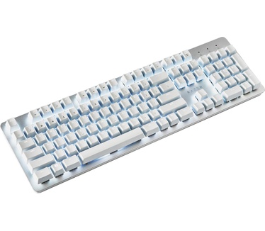 Razer Pro Type