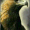avatar van Dytzox