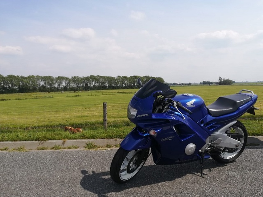 Afbeeldingslocatie: https://tweakers.net/i/0j_WgrhR8VpVikemIXiOc84_xEQ=/full-fit-in/4920x3264/filters:max_bytes(3145728):no_upscale():strip_icc():fill(white):strip_exif()/f/image/fEoEuqNzAZAot6TUAuTEPIT6.jpg?f=user_large