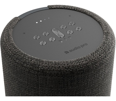 Audio Pro G10 dark-grey