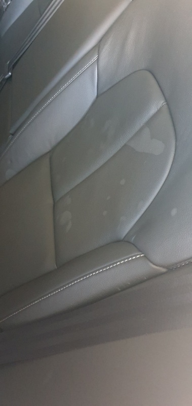 Afbeeldingslocatie: https://tweakers.net/i/0jkAlgpntSuUpfvZ3OOCwo5MWLg=/x800/filters:strip_icc():strip_exif()/f/image/FbUuOqAKfl54tnSWO6ERlJko.jpg?f=fotoalbum_large