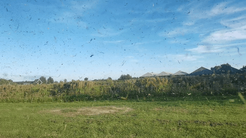 Afbeeldingslocatie: https://tweakers.net/i/0k96vNgKdqftPVIPDeOrt7NS7Rg=/800x/filters:strip_exif()/f/image/YMA1QExcSavYkFPiLBZbBPD8.png?f=fotoalbum_large