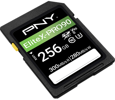 PNY EliteX-PRO90 256GB