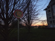 Cameratest Xiaomi 17 - Primair (nacht)