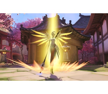 Overwatch Collector's Edition, Windows