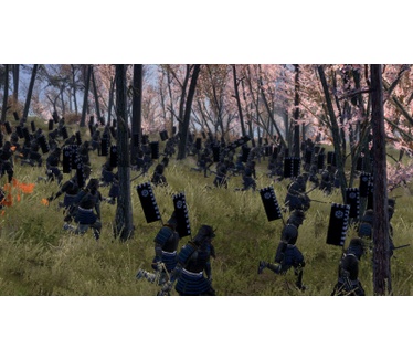 Shogun 2: Total War, Windows
