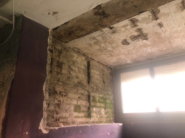 Afbeeldingslocatie: https://tweakers.net/i/0mp9qoZHzYXlFqjOrgnXaC1XdLo=/full-fit-in/4920x3264/filters:max_bytes(3145728):no_upscale():strip_icc():fill(white):strip_exif()/f/image/SCmVgMoQSxPskEtWJWU8POmi.jpg?f=user_large