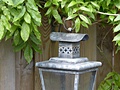 Nikon D3200 samples