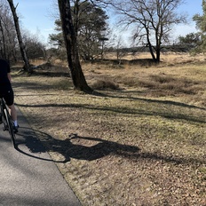 Afbeeldingslocatie: https://tweakers.net/i/0szgxTekjv4cSE3Fbep8CTqnbww=/232x232/filters:strip_icc():strip_exif()/f/image/BQs2Tah7GbAs4nXakWufRGSZ.jpg?f=fotoalbum_tile