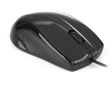 NGS Black Mist