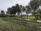 Cameratest Apple iPhone 18 Pro - Primaire camera overdag