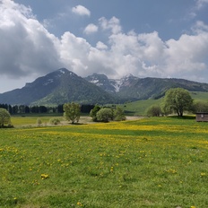 Afbeeldingslocatie: https://tweakers.net/i/0uZSKgVUiuuExYfMw5umQtpUX0Q=/232x232/filters:strip_icc():strip_exif()/f/image/eaKFWqb8xWDauloLAq4eYi0t.jpg?f=fotoalbum_tile