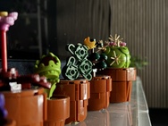 Cameratest iPhone 17e - Twee keer zoom