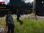 The Witcher 3 next-gen