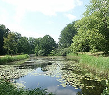 Dimage 7i review: kasteelvijver, 28mm