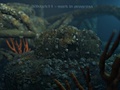 3DMark11 screenshot