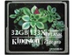 Goedkoopste Kingston Elite Pro CompactFlash 32GB 133X