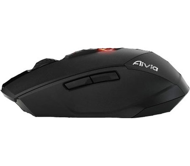 Gigabyte M8600