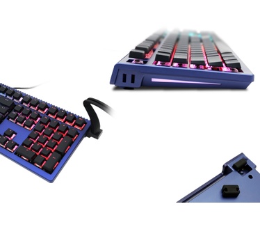 Ducky Shine 6