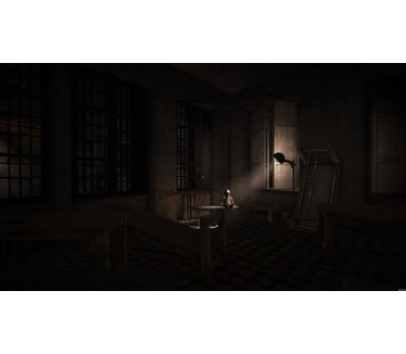 The Town of Light, PS4