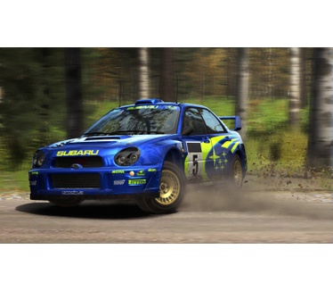 DiRT Rally, Windows