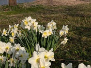 Xiaomi 17 Cameratest - Telecamera