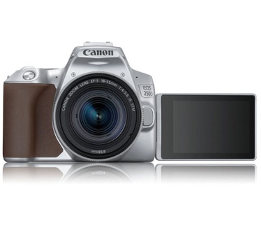 Canon EOS 250D + 18-55mm f/4-5.6 Zilver