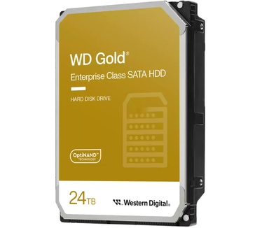 WD WD241KRYZ