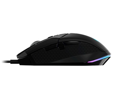 Acer Cestus 335