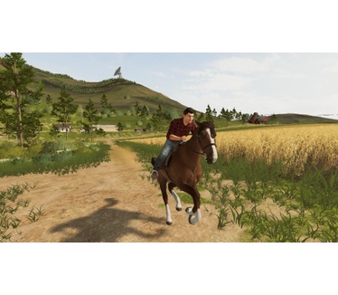 Farming Simulator 20, Switch
